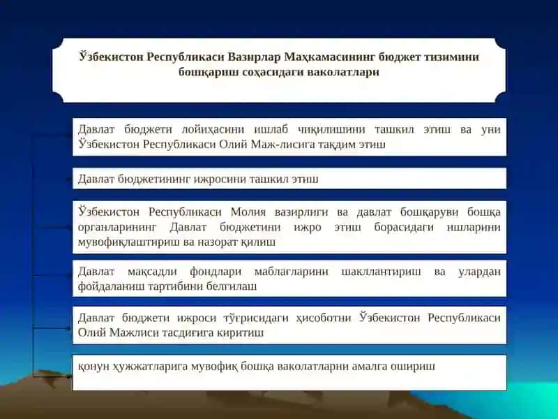 Бюджет тизими 4