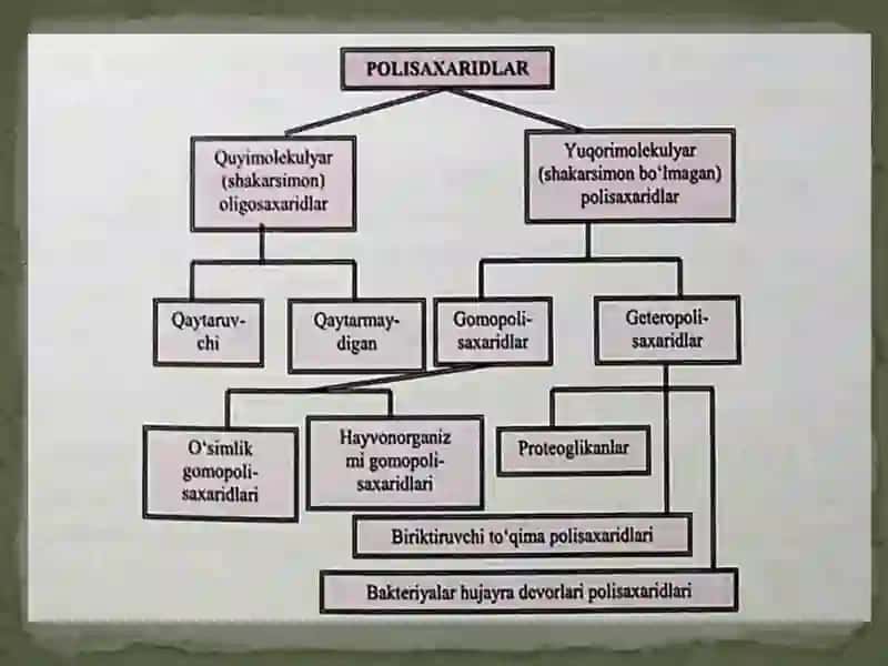 Uglevodlar tibbiy va biokimyosi 4