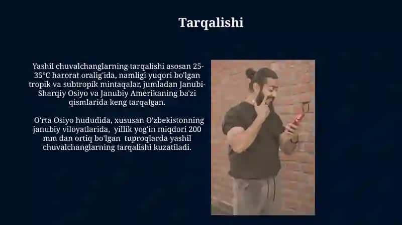 Yassi chuvalchanglar tipi 4