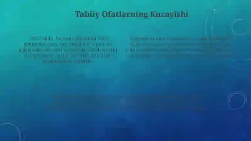 Antropogen ekstremal vaziyatlarning tavsifi 4