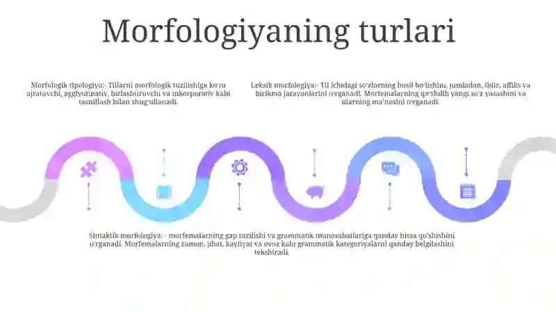 Morfologiya 4