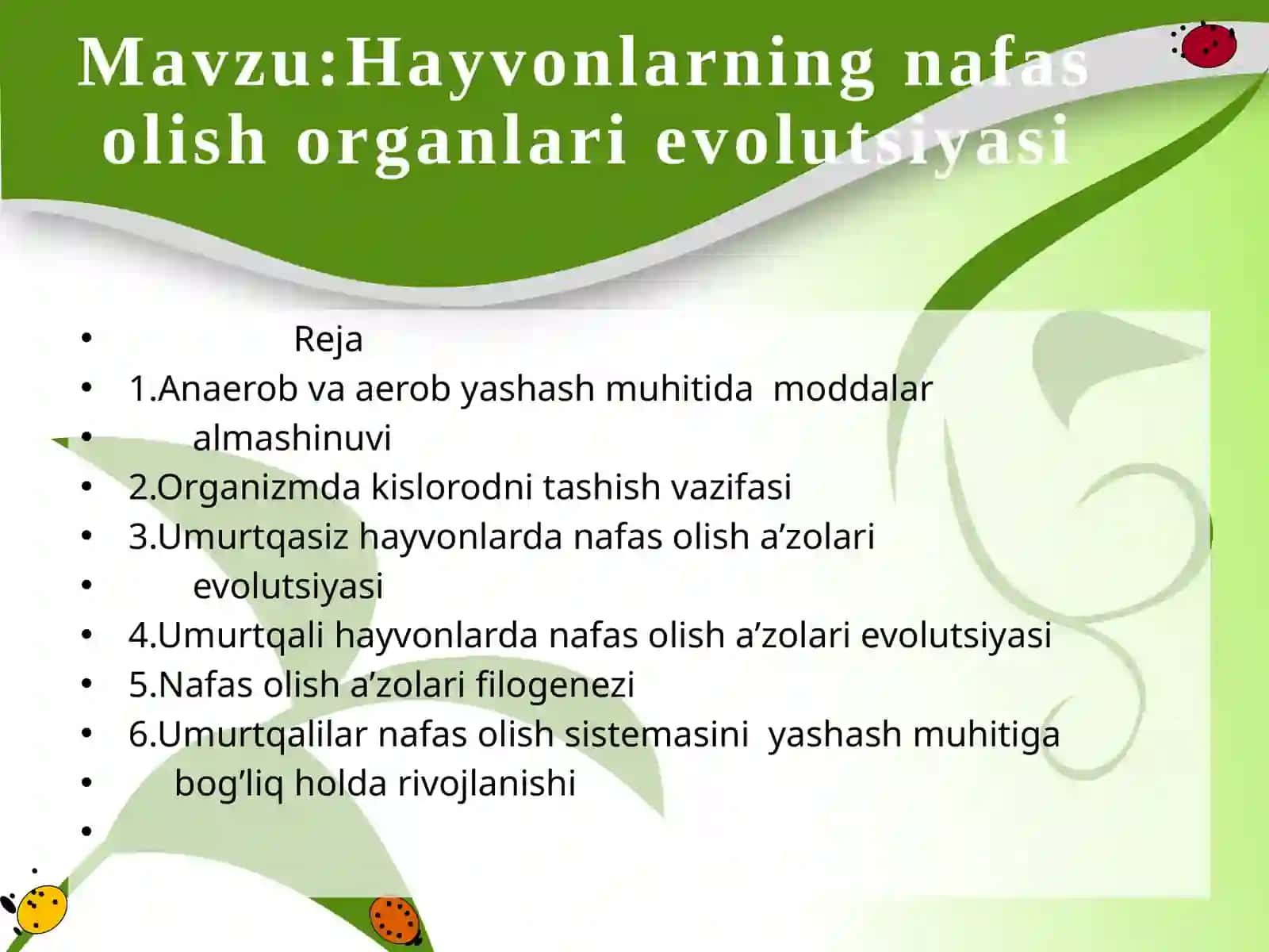 Hayvonlarning nafas olish organlari evolutsiyasi 4