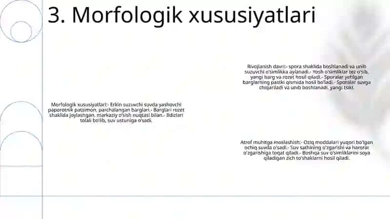 Suzuvchi Salviniyaning Taraqqiyot Sikli 4