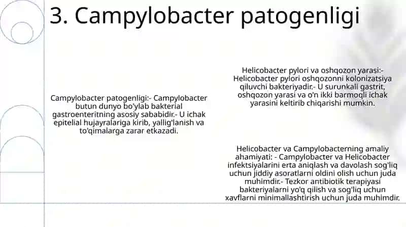 Kampilobakteriyalar Xelikobakteriyalar Va Ularning Amaliyotdagi Ahamiyati 4