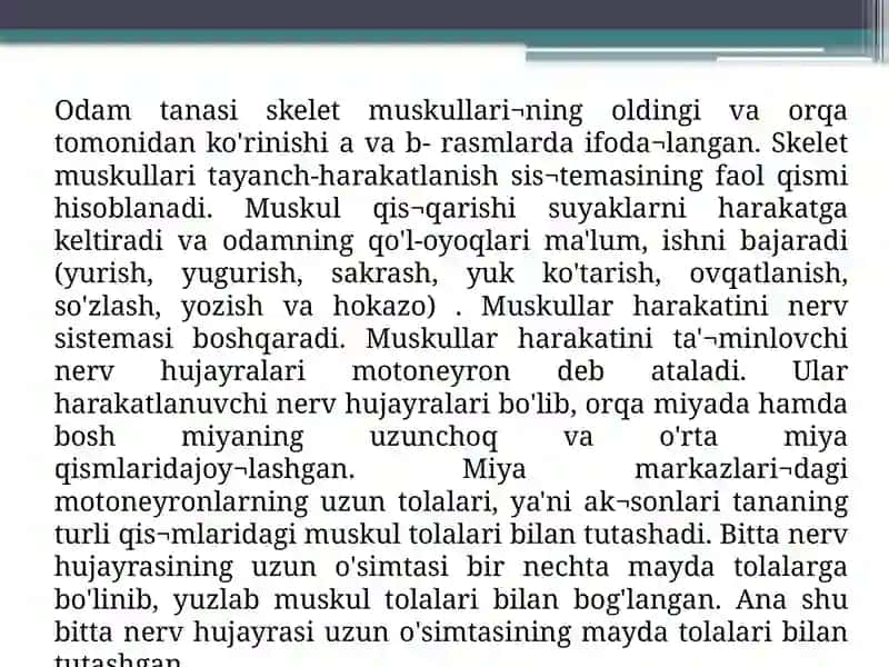Tanamuskullari 4
