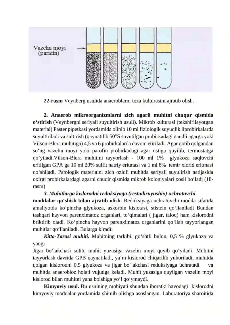 Aerob va anaerob bakteriyalarning sof kulturalarini ajratib olish (1 kun) 4