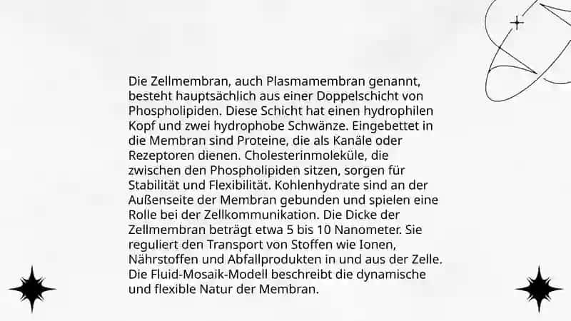 SUYAKLARNING TUZILISHI VA FUNKSIYASI 4