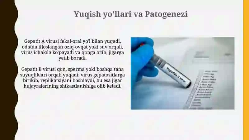Gepatit A va Gepatit B viruslari 4