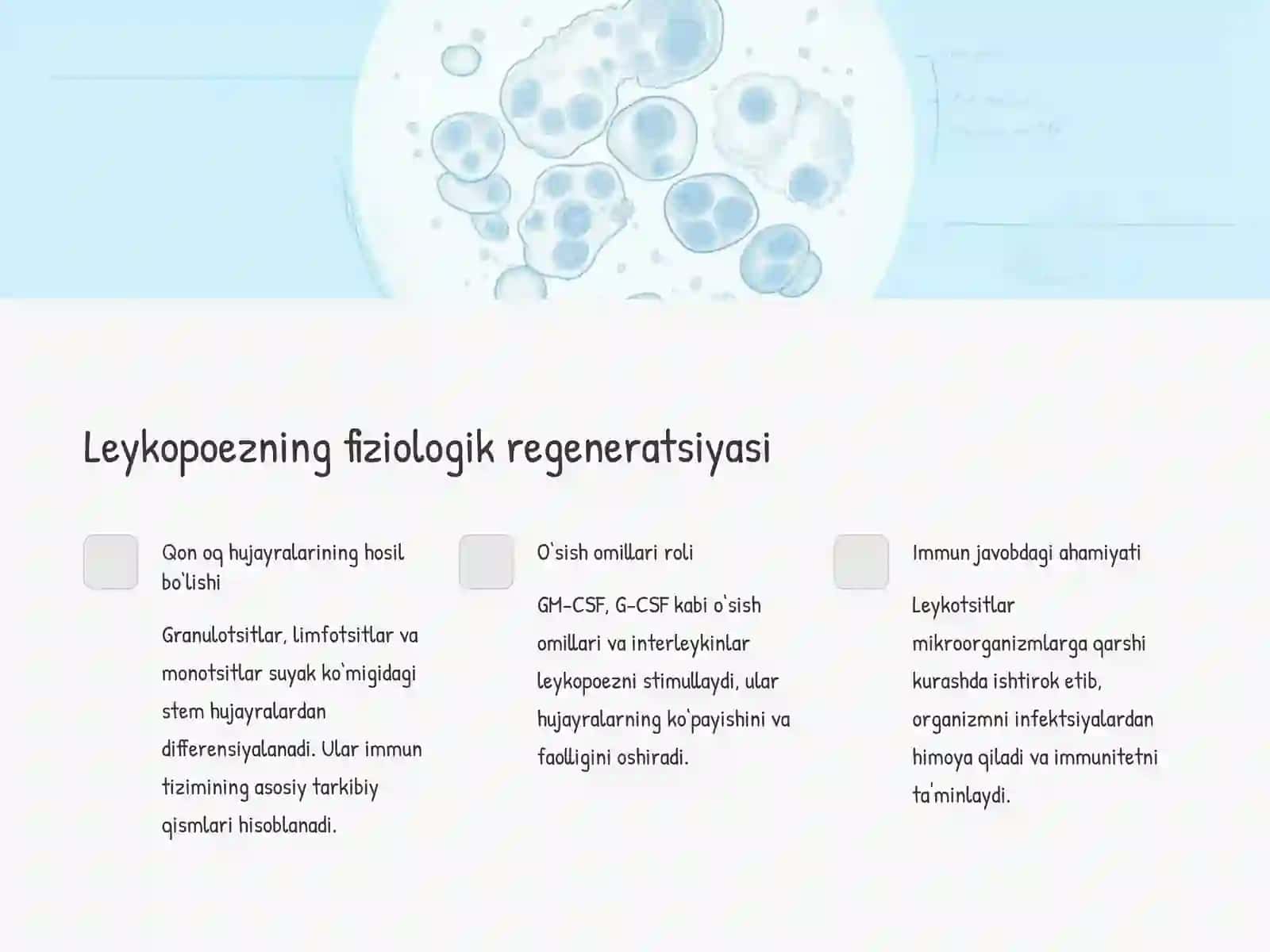 Qon hujayralari fiziologik va reparativ regeneratsiyasi 4