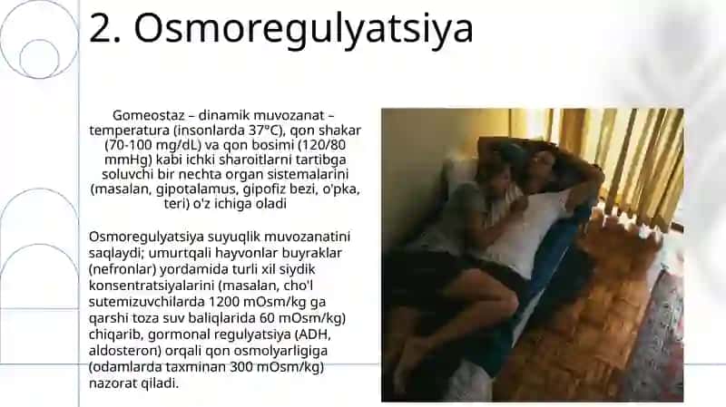 Gomeostaz 4