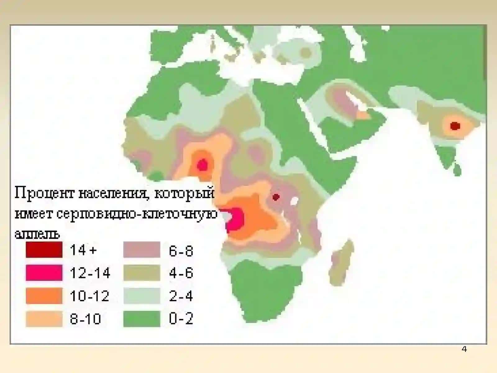Молекулярные болезни 4
