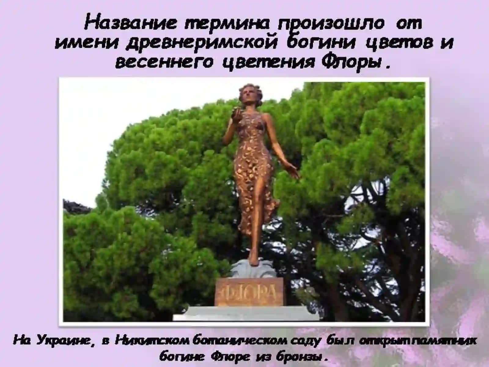 Флора и фауна 4