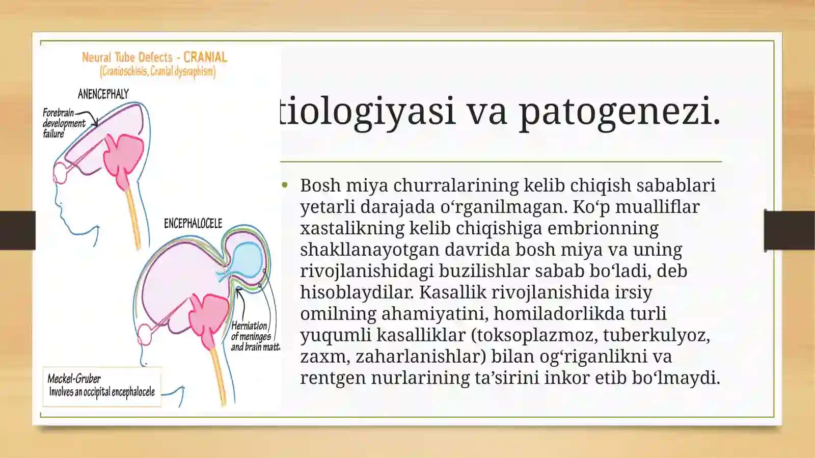 Boshmiyavaorqamiyatug‘marivojlanishnuqsonlari 4