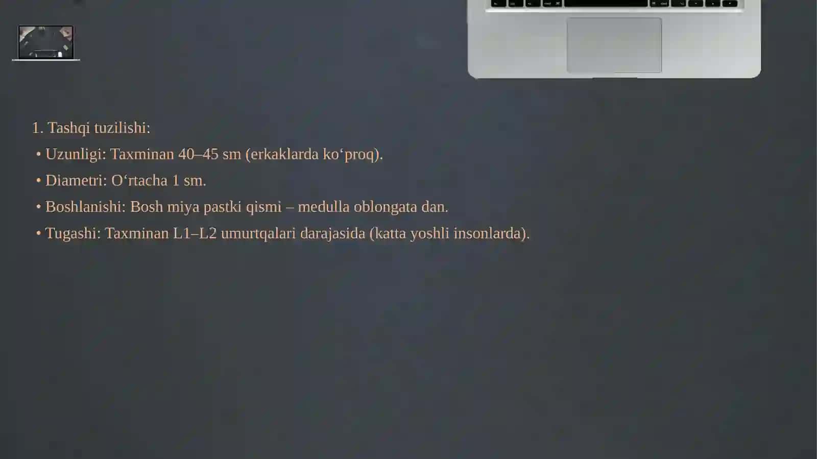 Orqa miyya va ularning roli 4