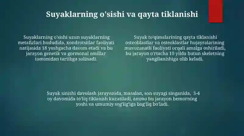 Suyaklarni tuzilishi va bòģim turlari 4