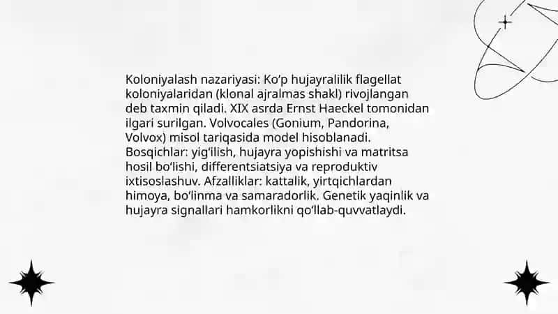 Haqiqiy koʻp hujayralilarning kelib chiqishi 4