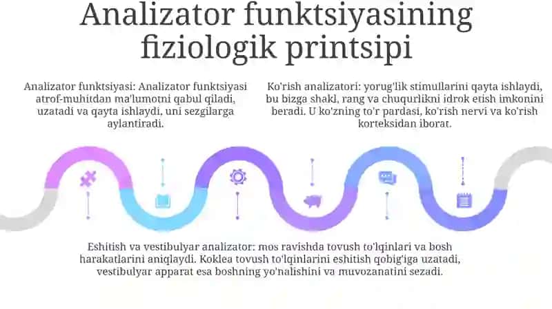 Analizatorlar Fiziologiyasi 4