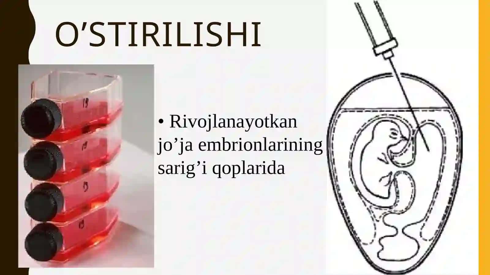 Kuisitma 4