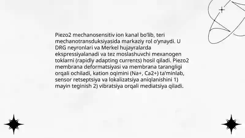 Sensor retseptsiya, teri analizatori lokalizatsiyani aniqlash 4
