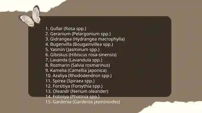Madaniy osimliklarniniʼg qalamchalari va yovvoyi oʻsimliklarning ildiz bachki va ildiz poyalar yordamida kopayuvchi oʻsimliklar royhati 4