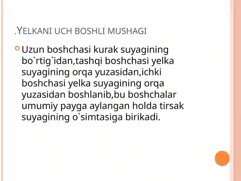 Yelka bilak va qol panja mushaklari va fastiyalari.qol topogirafiyasi 4