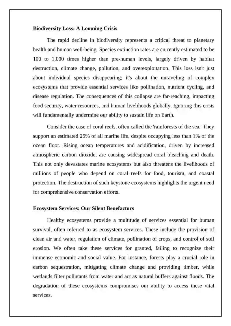 Reja's Role in Conservation 4