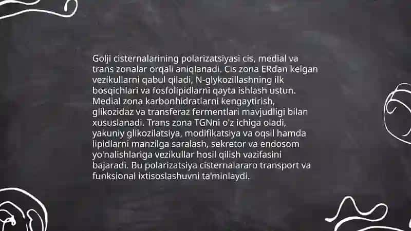 Sitoplazma organoidlari golji apparati va lizosomaning tuzulishi. Kritmalar 4