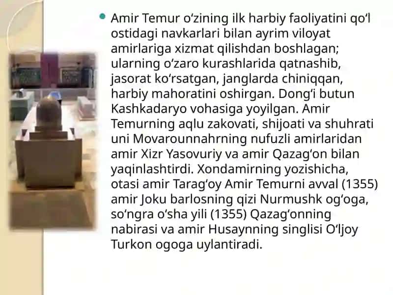 Amir Temur 4
