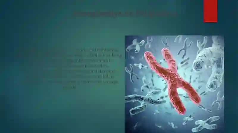 Irsiyat xromosoma nazariyasi 4