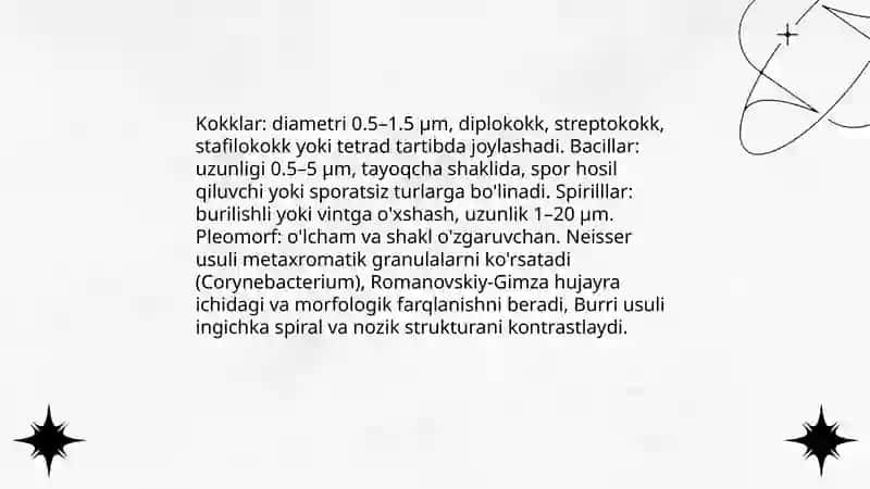 Bakteriyalar strukturasi va marfalogiyasi 4