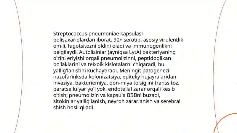 Meningit chaqiruvchi bakteriyalar va ularning patogenezi 4