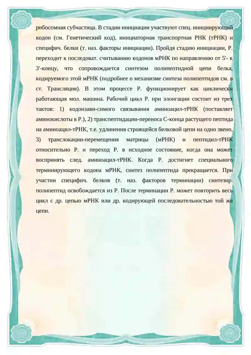 Механо-химические свойства рибосомы 4