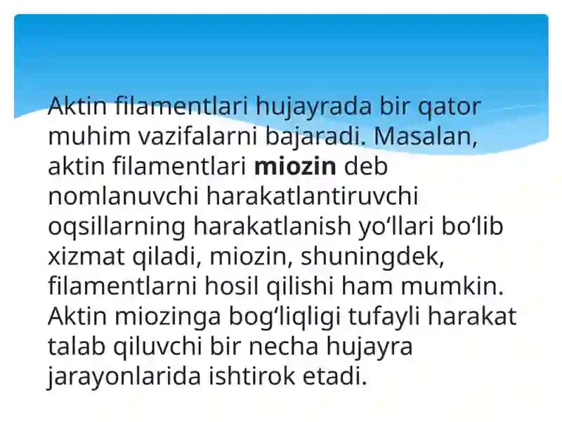 Hujayra sitosikleti strukturaviy tuzilishi 4