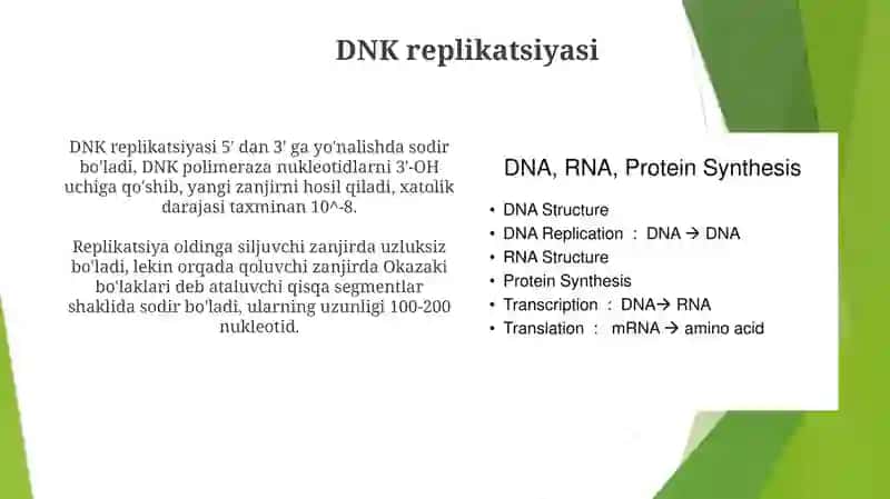 DNK strukturasi va replikatsiyasi. Oqsil biosintezi 4
