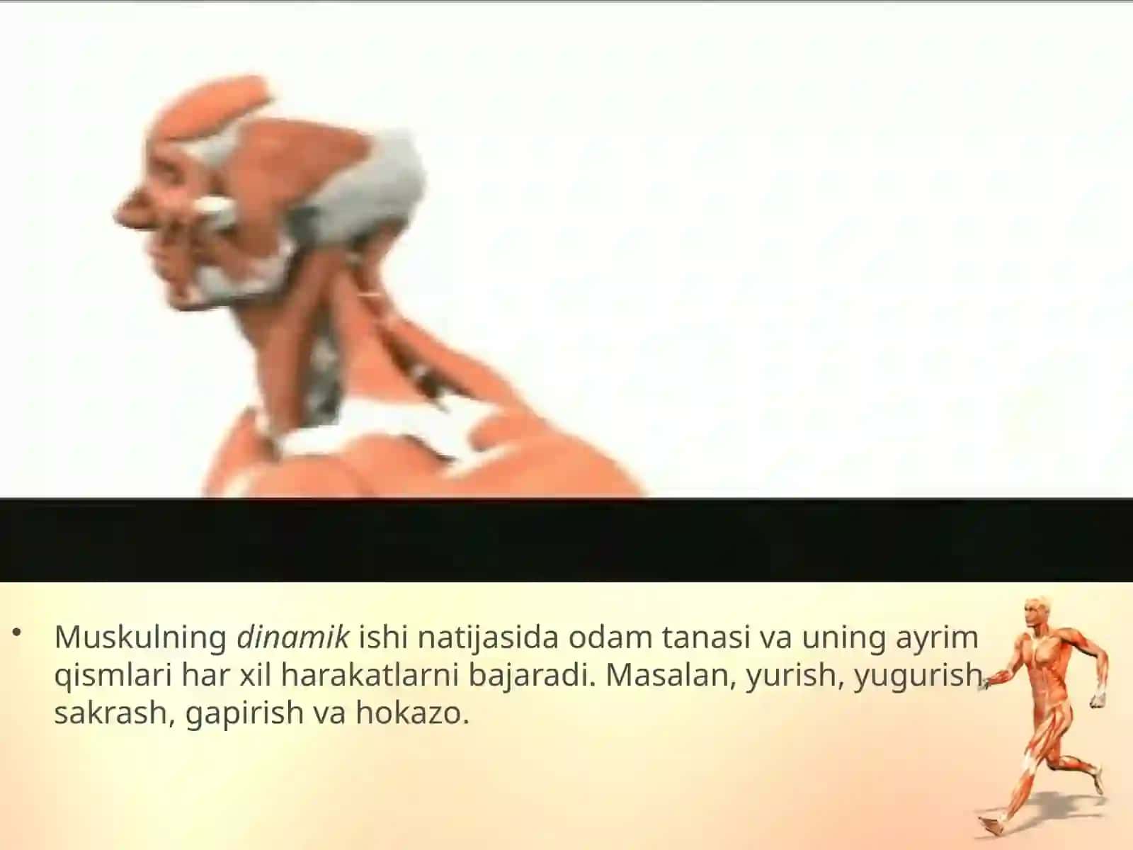 “Muskullarning ishlashi” mavzusi 4