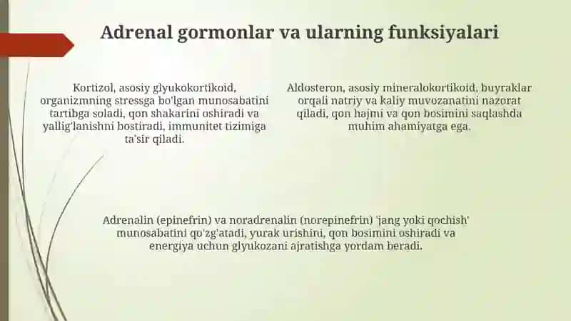 Buyrakostibezlari 4