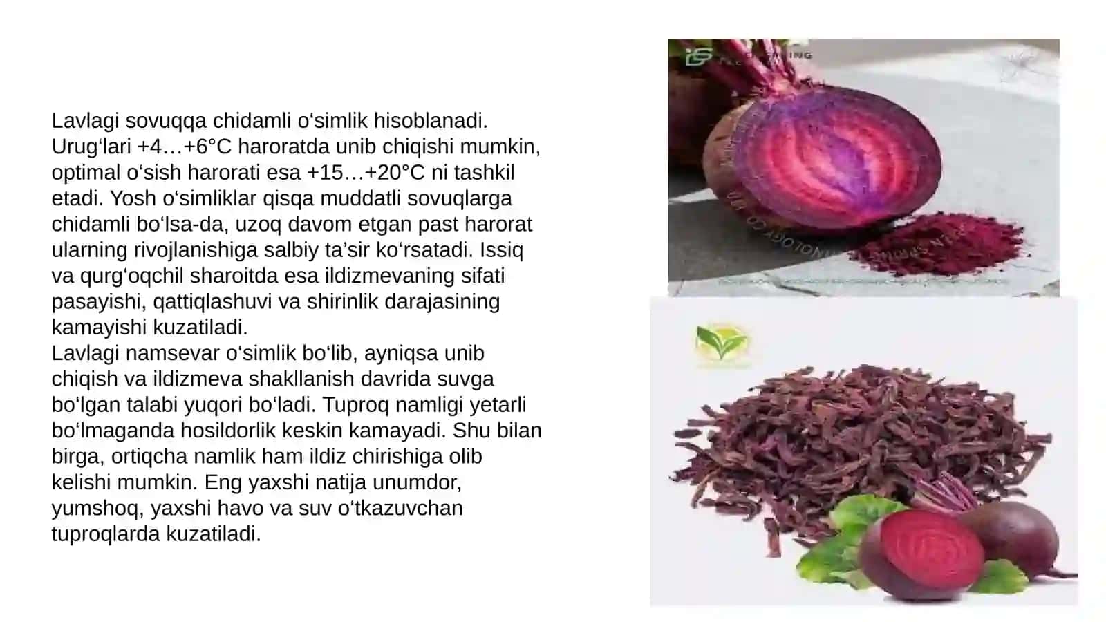 LAVLAGI QURITISH TEXNOLOGIYASI 4