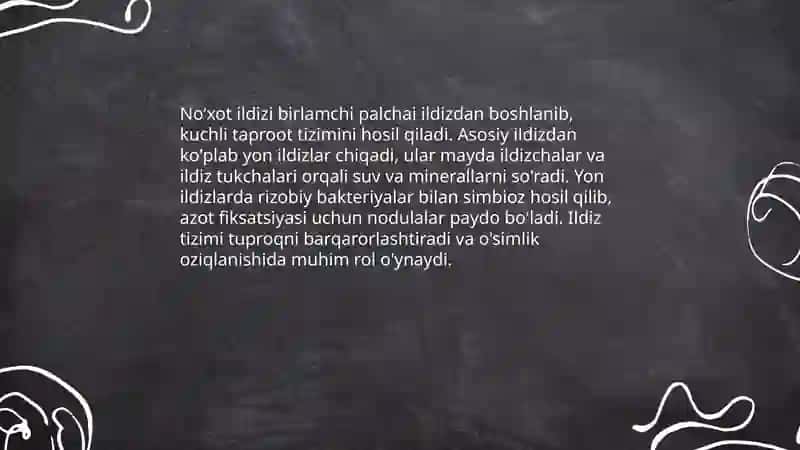 Don dukkakli ekinlarning umumiy morfologik xususiyatlari 4