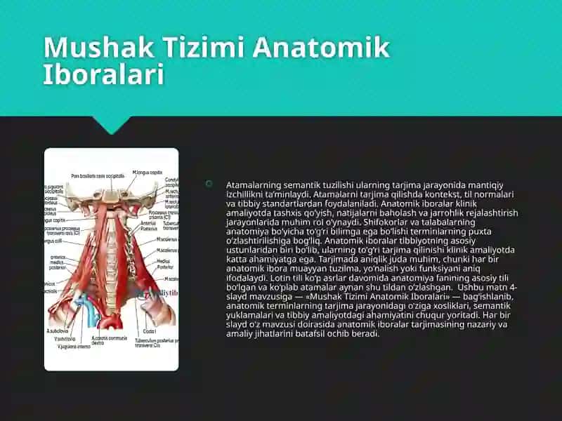 Anatomik terminologiyaning tarjima asoslari 4