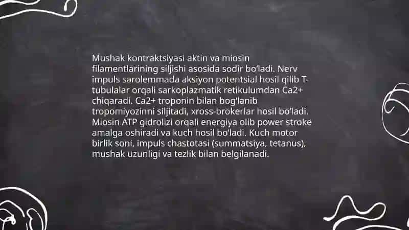 Muskul xossalarini fiziologiyasi 4