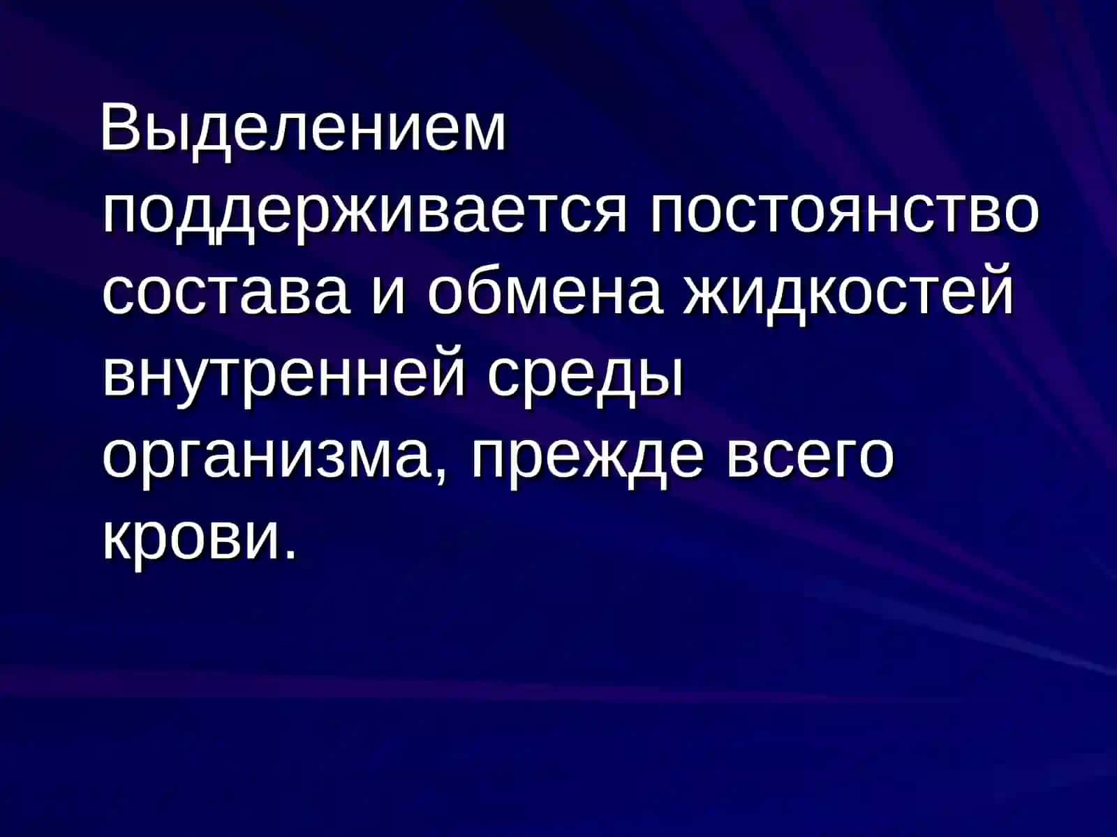 Экскреторная функция организма 4