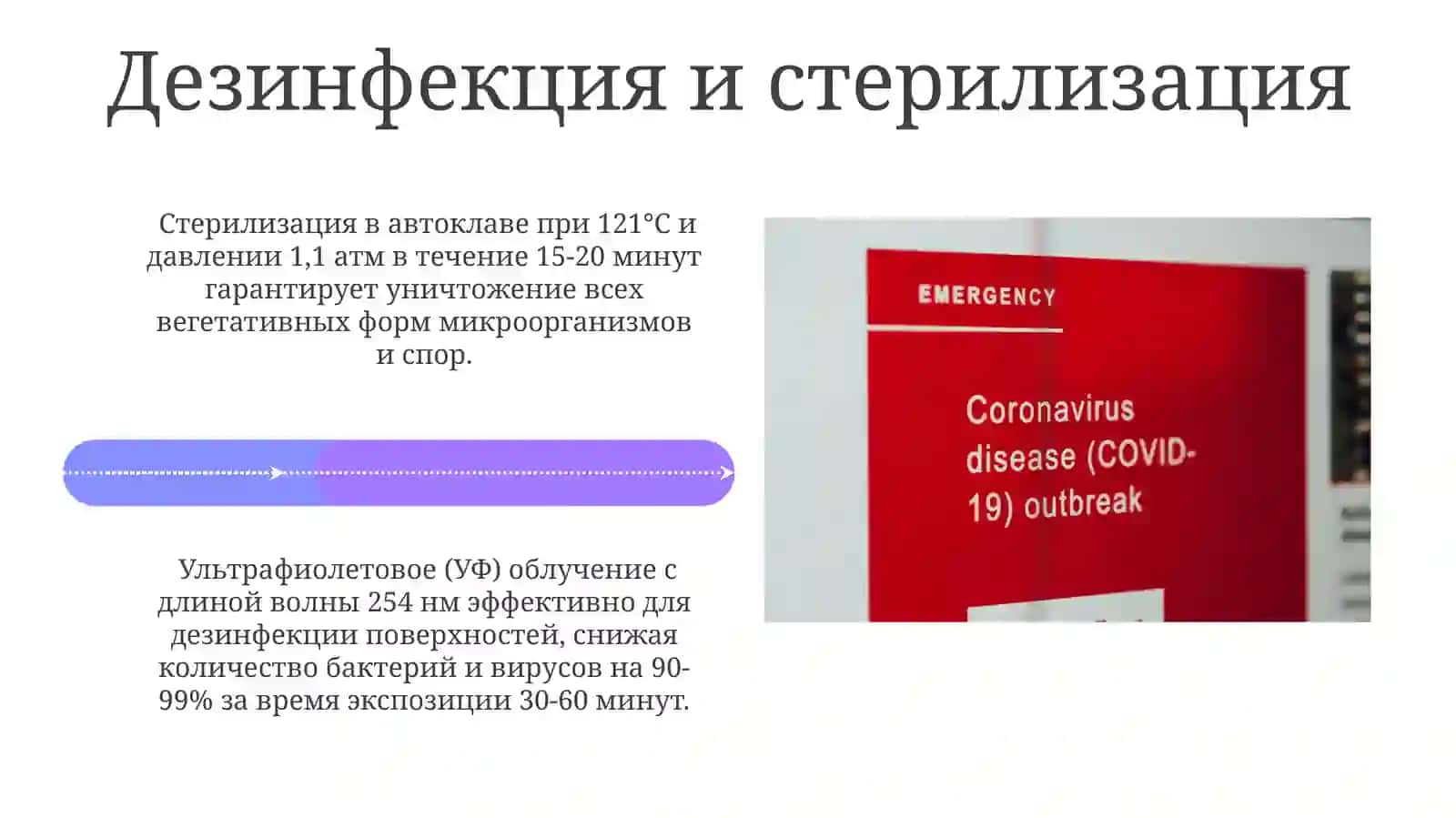 COVID-19: Глобальная проблема современности 4