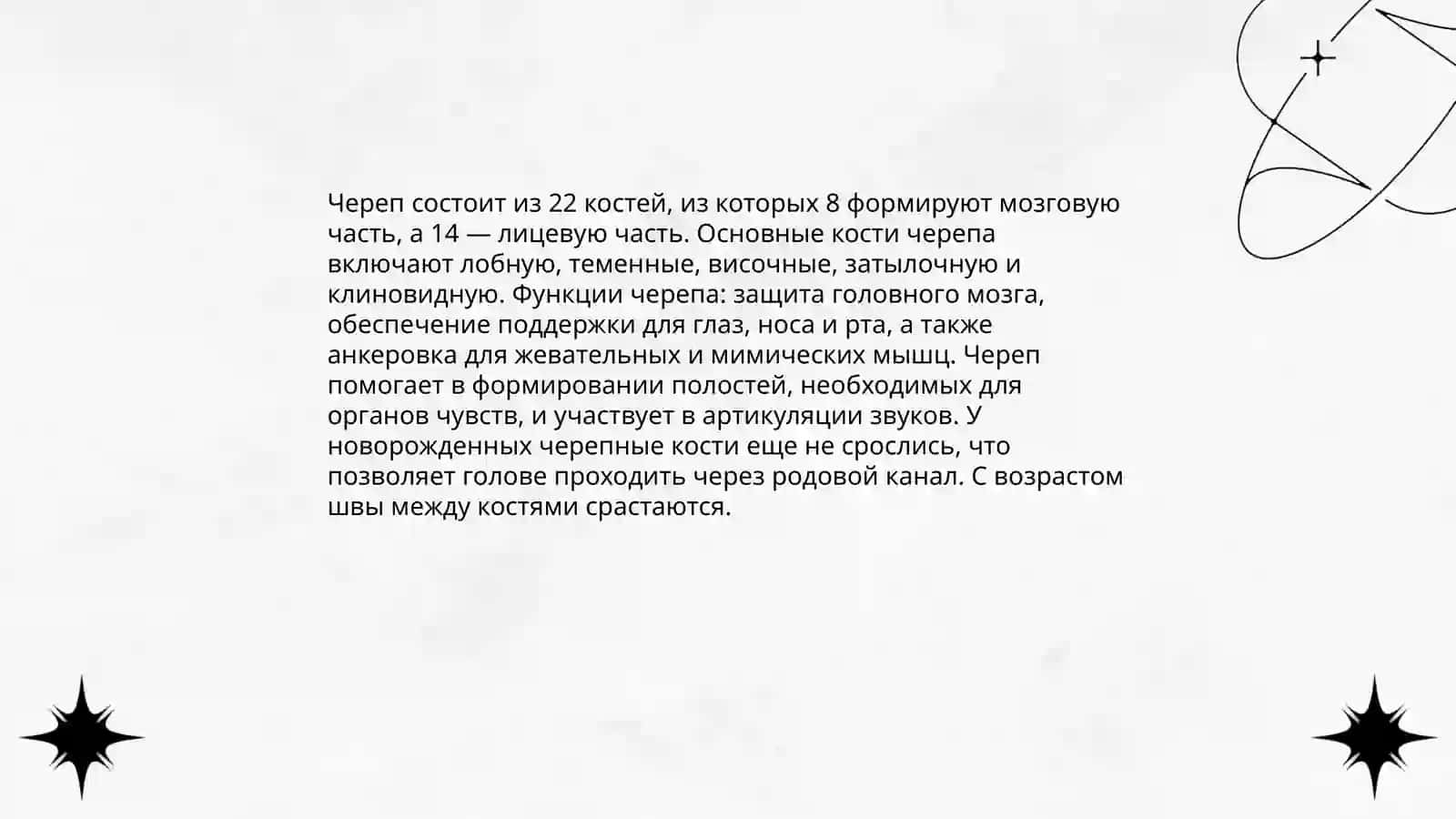 Строение и функции скелета человека 4