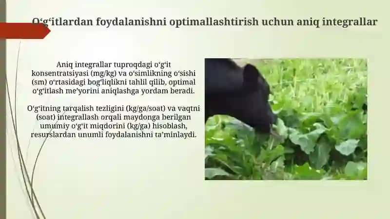 Aniq integralning qishloq xoʻjaligi va chorvachilik masalalariga tatbiq etilishi 4