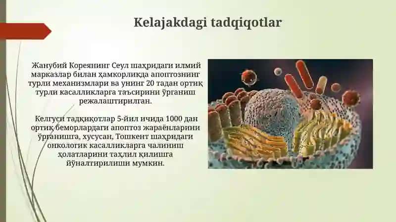 Hujayra oppoptozi va uning giologik ahamiyati 4