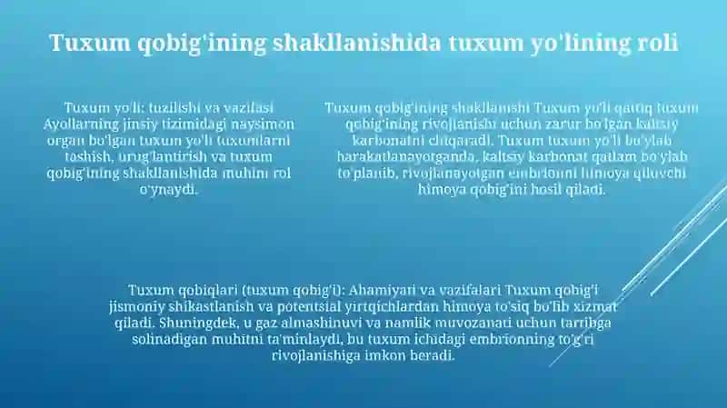 Tuxum Xujayraning Qobiqlari Va Ularni Shakllanishi 4