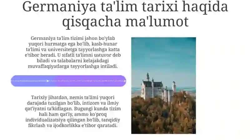 Germaniyada An'anaviy Ta'lim 4