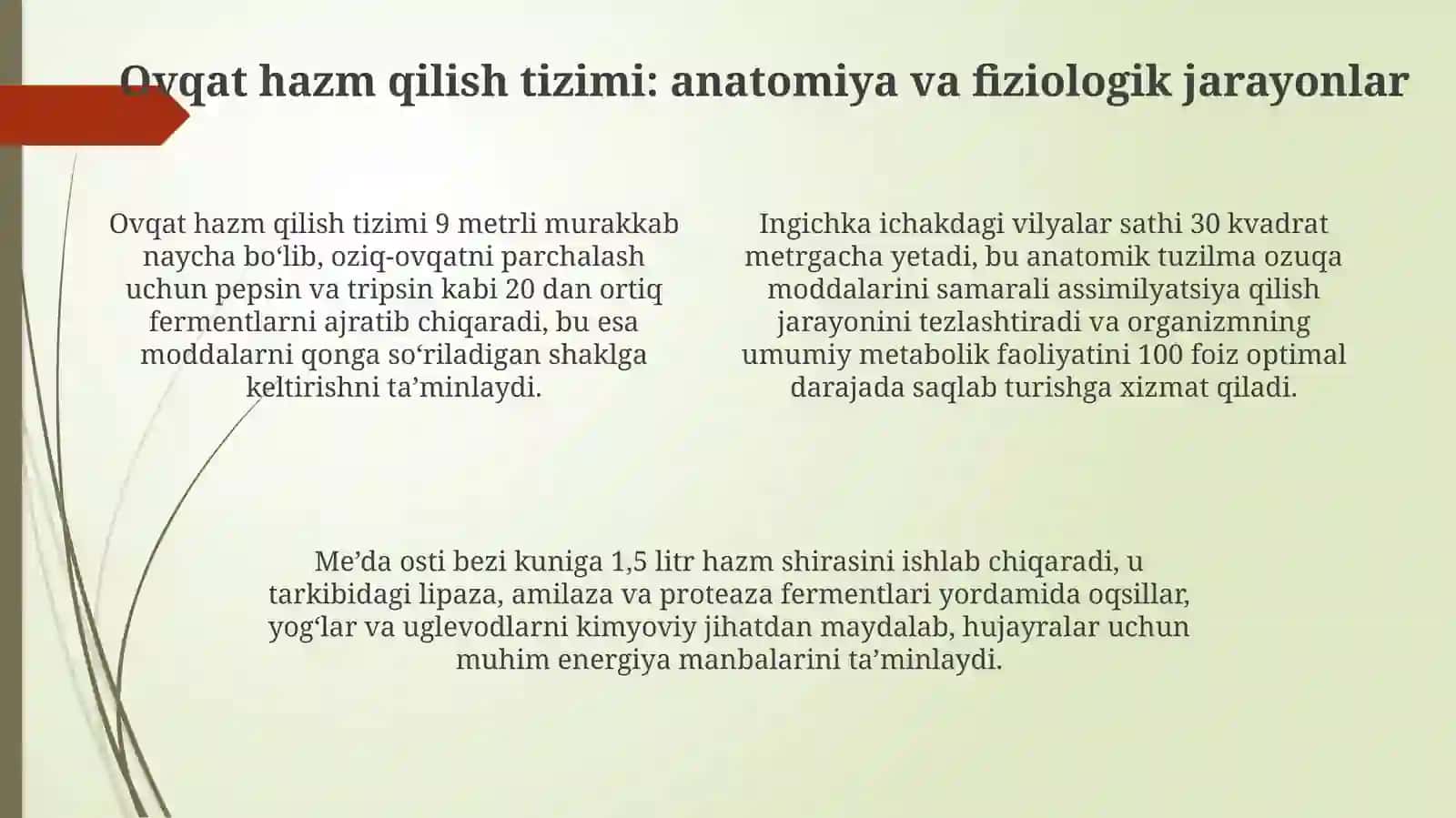 To‘g‘ri ovqatlanishning fundamental asoslari 4