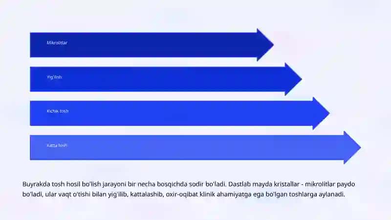 Buyrak tosh kasalligi (Urolitiaz): Etiologiyasi va Klinikasi 4