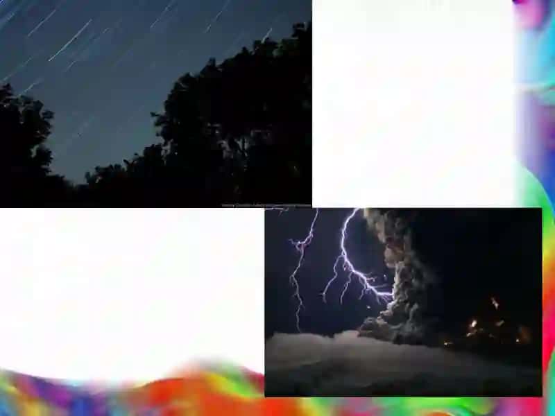 Ekologiya va Atrof Muhit Muhofazasi 4